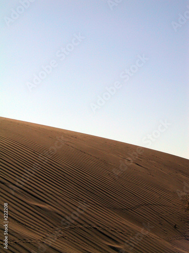 animal footstep on a dune