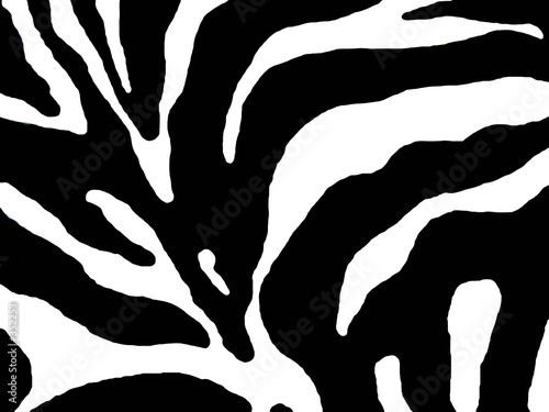 abstract zebra print