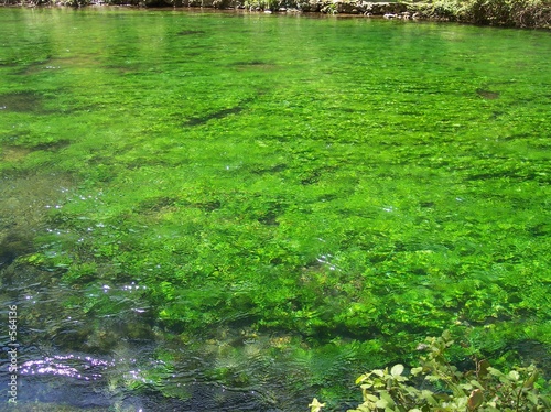 l'eau de la fontaine de vaucluse