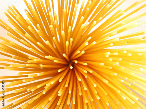prickly spaghetti