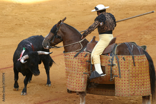 bullfighting in sevilla