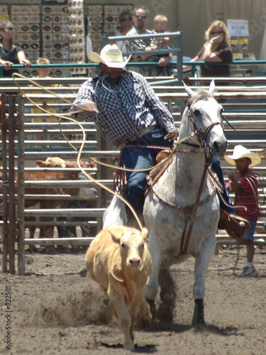 cowboy roping a calf