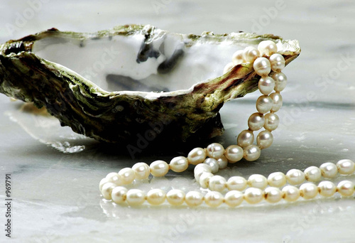 oyster shell with pearls