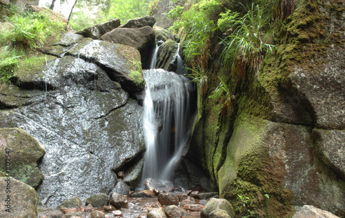 a waterfall and a moss-grown stone