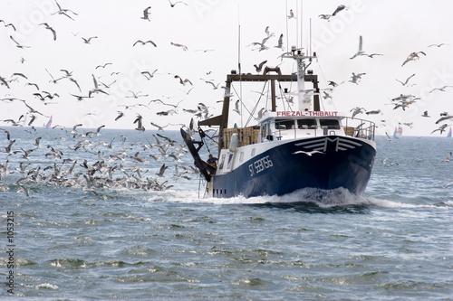 fischerboot und möwen