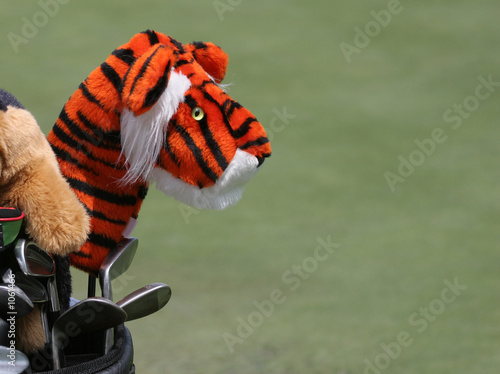 golf clubs and tiger