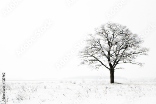 winter lonelyness