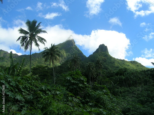 tahiti moorea ridge