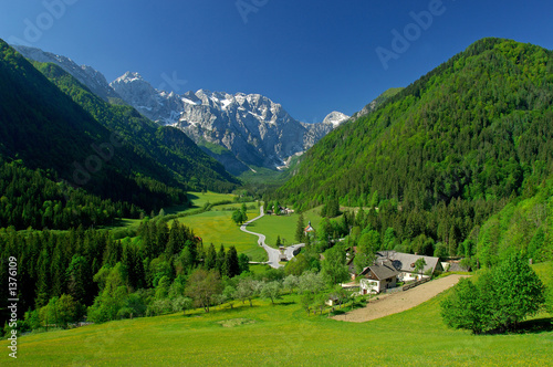 spring in alpine valley