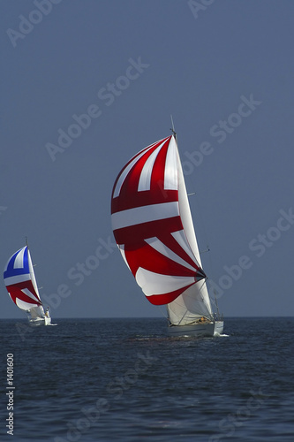 sailing. the winner and losed.