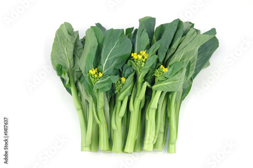 chinese vegetable: choy sum