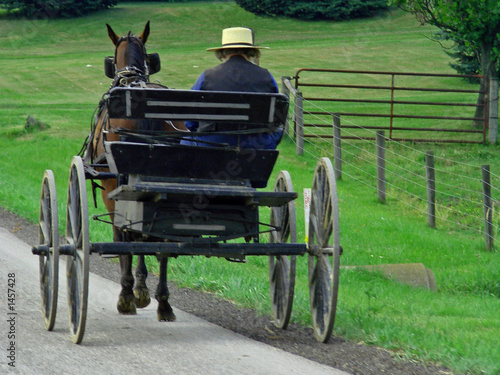 amish man driving horse pulled wagon