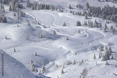 snow tracks