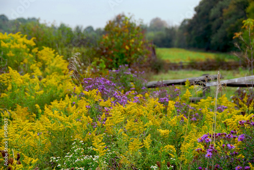 rural landscape