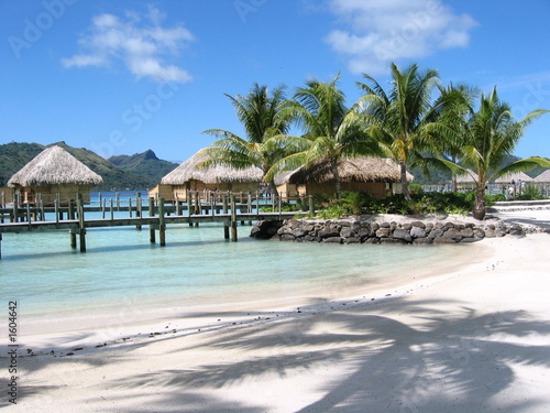 cartolina da bora-bora