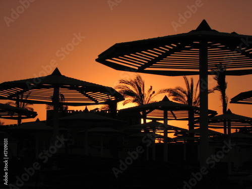 bloody sunset with beach umbrellas and palms