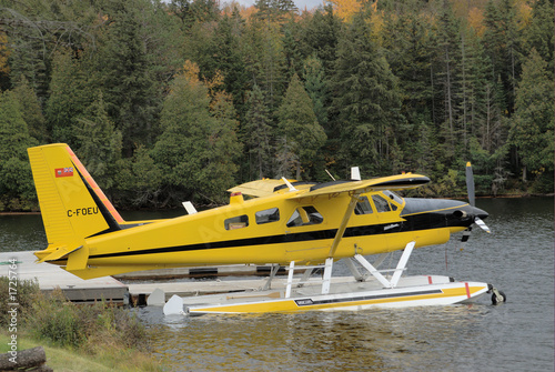 float plane in algonquin park (1402)