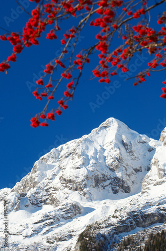 early winter in slovenian alps