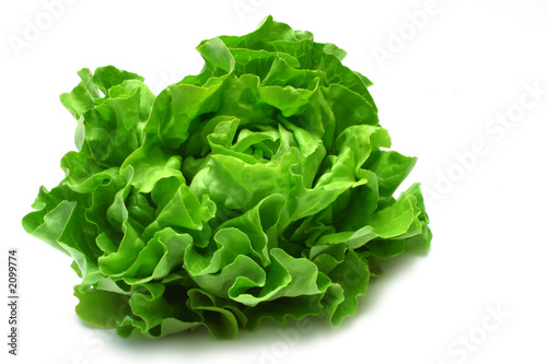 butterhead lettuce 2