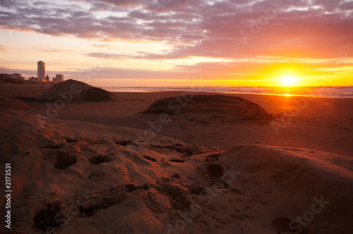 sunset on the beach