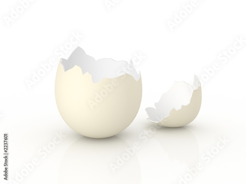 egg shell