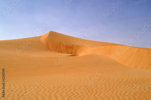 liwa desert 10
