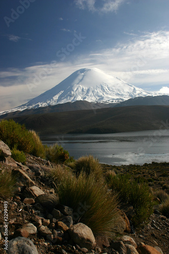 lac chungará et volcan parinacota