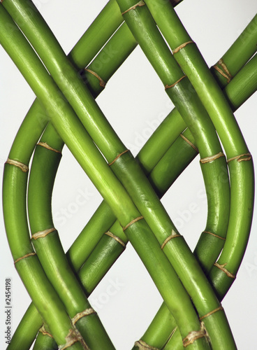 abstract bamboo