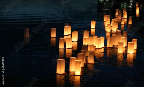 japanese lanterns floating on a lake