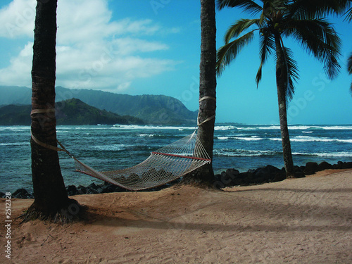 strung hammock