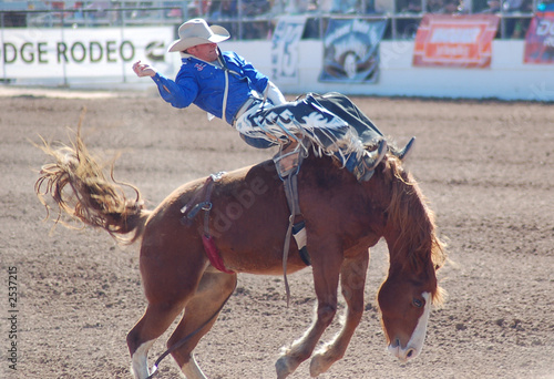 bronco rider