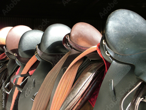 saddles lined up on the fence