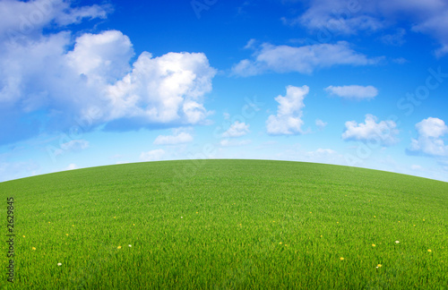 prairie arrondie au printemps