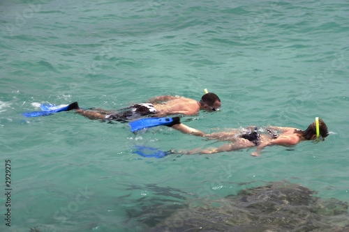 snorkeling 2