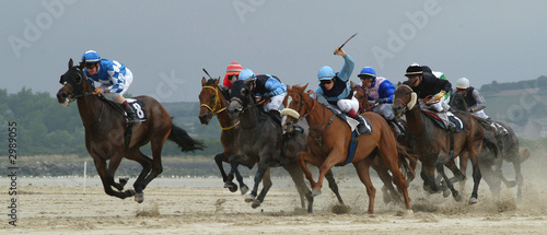 chevaux au galop