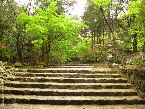 temple garden