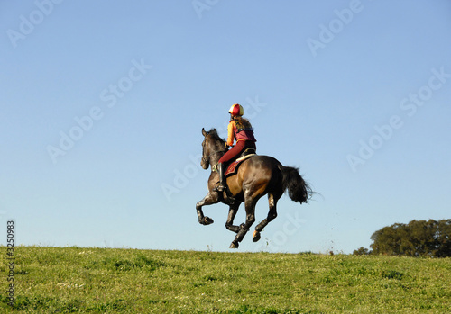 horseman galloping at high speed