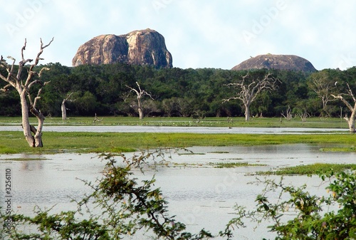 elephantrock in yala wildpark