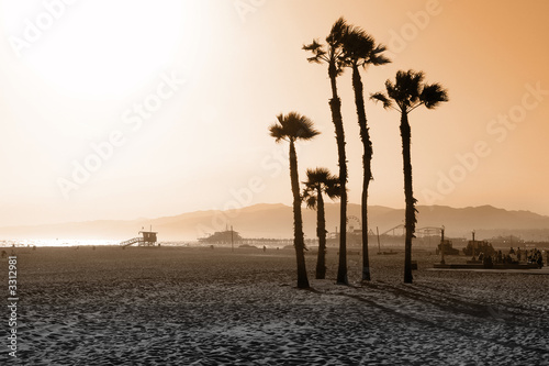 santa monica beach palms