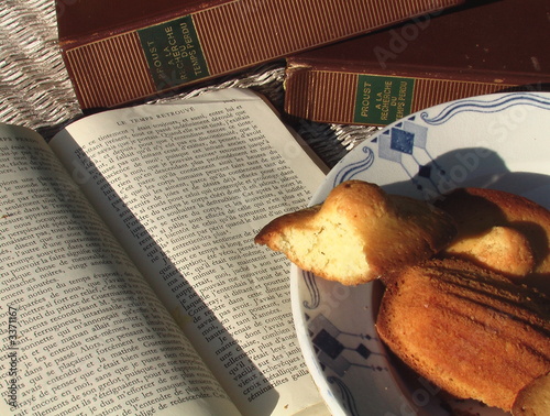 les madeleines de proust