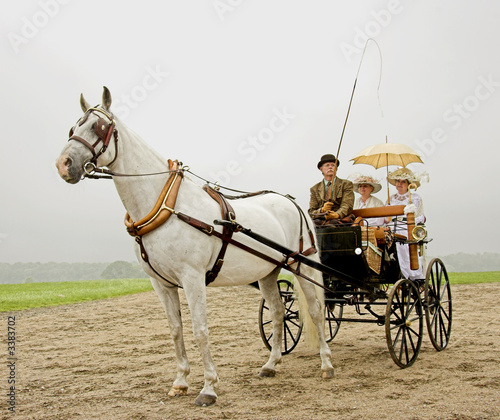 horse and a old-fashioned horse-drawn 1