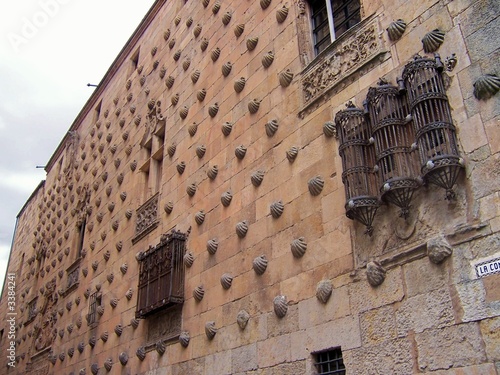 las conchas en salamanca