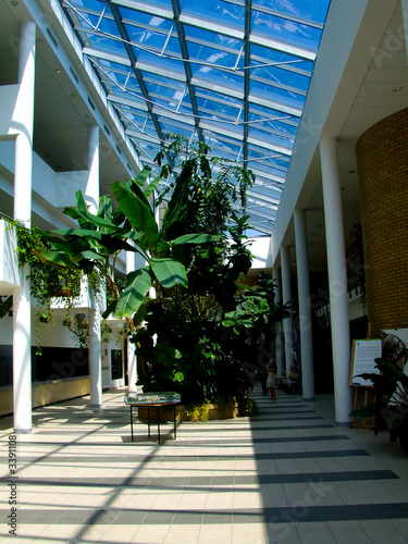 atrium