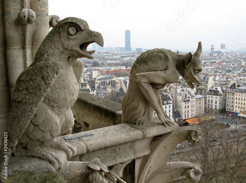 cityscape of paris from cathedral of notre dame de paris