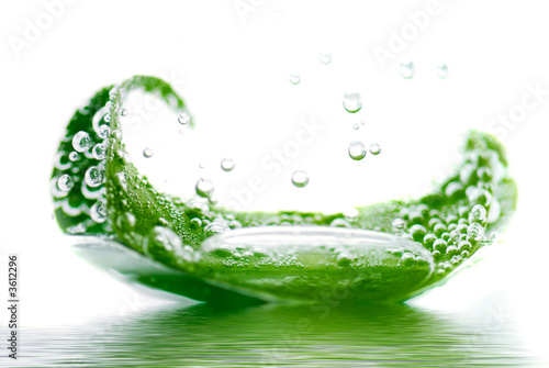 fresh leaf floating in water