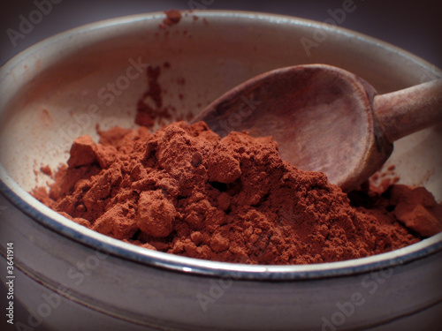 chocolat en poudre