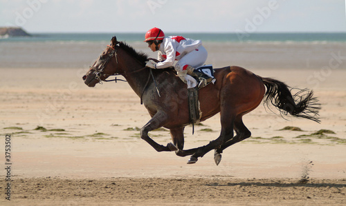 Cheval au galop