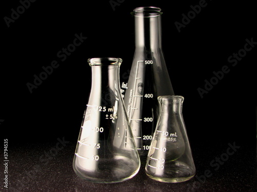 Erlenmeyer Flasks