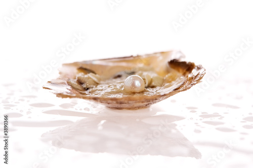 Pearl inside an oyster shell