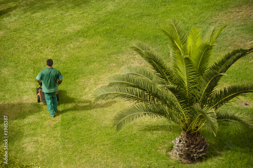 Man working in garden